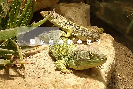 融小鱼逾期半年了 融小鱼逾期半年了