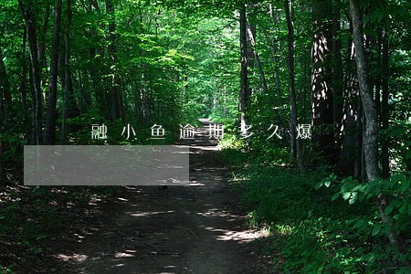 融小鱼逾期多久爆 融小鱼逾期多久爆