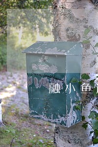 融小鱼逾期怎么样 融小鱼逾期怎么样