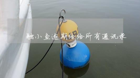 融小鱼逾期给给所有通讯录 融小鱼逾期给给所有通讯录
