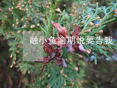 融小鱼逾期说要告我 融小鱼逾期说要告我