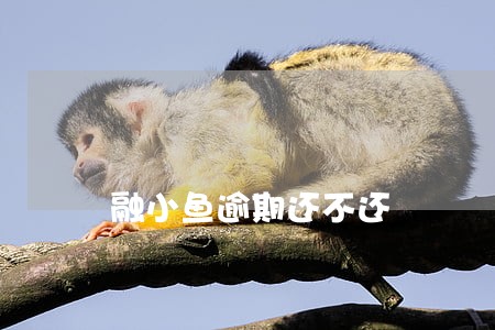 融小鱼逾期还不还 融小鱼逾期还不还