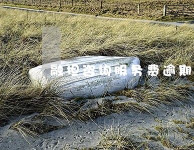 融担咨询服务费逾期 融担咨询服务费逾期