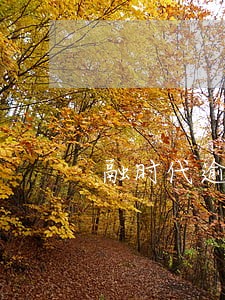 融时代逾期多久锁机 融时代逾期多久锁机