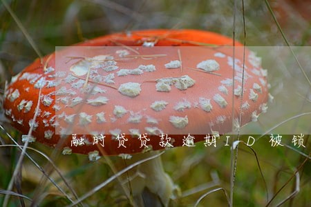 融时贷贷款逾期ID被锁 融时贷贷款逾期ID被锁