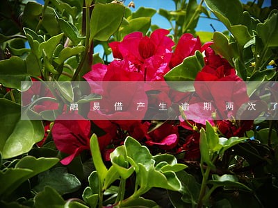 融易借产生逾期两次了会怎样 融易借产生逾期两次了会怎样