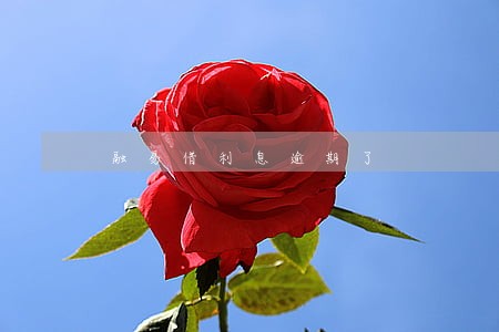 融易借利息逾期了