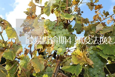 融易借逾期4期没法换怎么办 融易借逾期4期没法换怎么办
