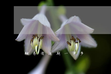 融易借逾期一年多 融易借逾期一年多