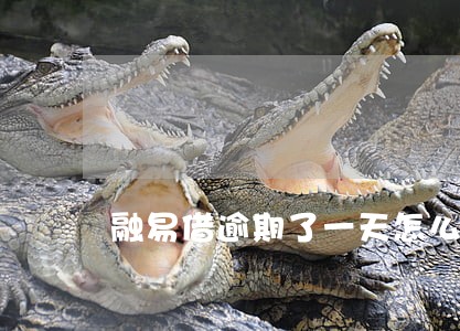 融易借逾期了一天怎么办