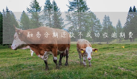 融易分期还款不成功收逾期费