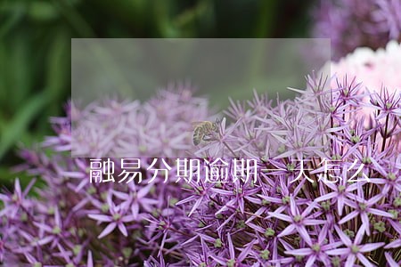 融易分期逾期一天怎么 融易分期逾期一天怎么