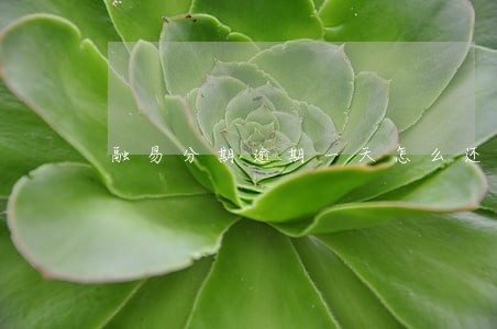 融易分期逾期一天怎么还不了 融易分期逾期一天怎么还不了