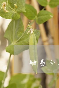 融易分期逾期一天打电话 融易分期逾期一天打电话