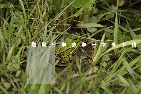 融易分期逾期一次多少钱 融易分期逾期一次多少钱
