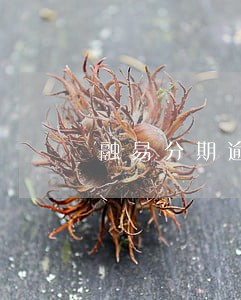 融易分期逾期两天利息就五十多了 融易分期逾期两天利息就五十多了