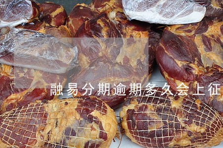 融易分期逾期多久会上征信吗 融易分期逾期多久会上征信吗