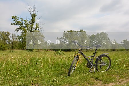 融易分期逾期多少天会上征信 融易分期逾期多少天会上征信