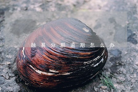 融易分期逾期怎么办 融易分期逾期怎么办
