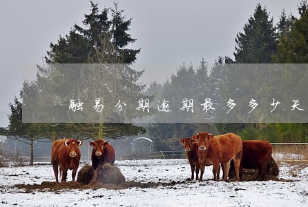 融易分期逾期最多多少天 融易分期逾期最多多少天