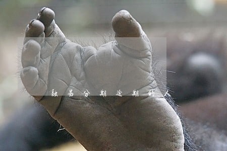 融易分期逾期的人 融易分期逾期的人