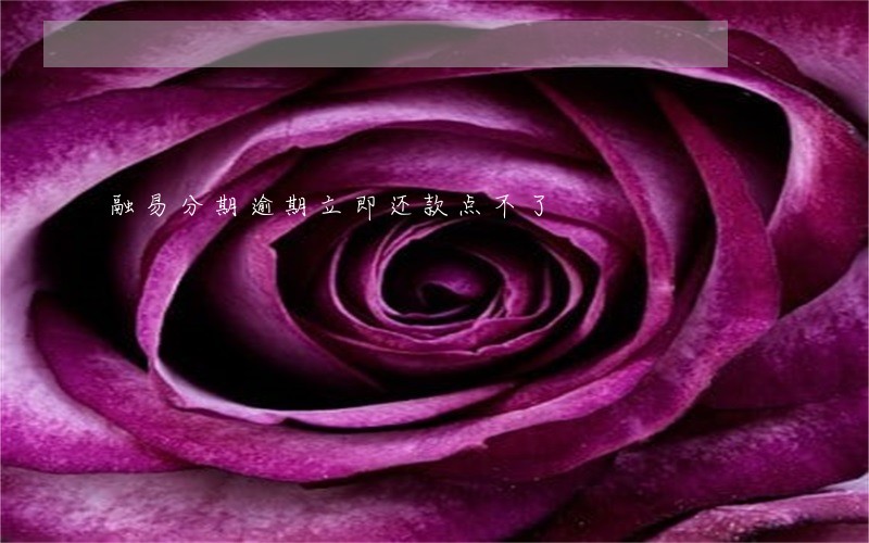 融易分期逾期立即还款点不了 融易分期逾期立即还款点不了