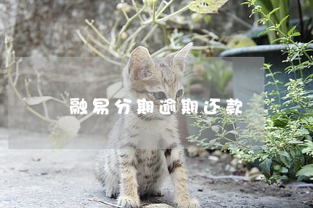 融易分期逾期还款 融易分期逾期还款