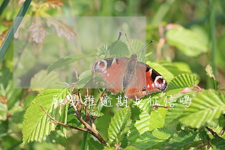 融易推逾期上征信吗 融易推逾期上征信吗