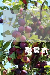 融易有钱逾期会怎么样 融易有钱逾期会怎么样