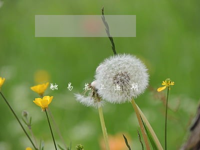 融易花上逾期 融易花上逾期