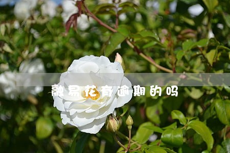 融易花有逾期的吗 融易花有逾期的吗