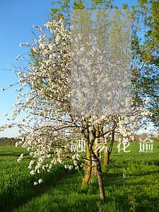 融易花逾期一年 融易花逾期一年