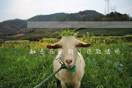 融易花逾期了还能借吗 融易花逾期了还能借吗