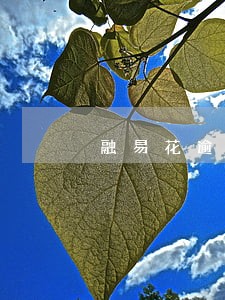 融易花逾期几天会打联系人电话 融易花逾期几天会打联系人电话