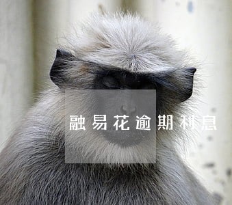 融易花逾期利息 融易花逾期利息