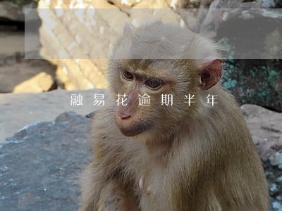 融易花逾期半年 融易花逾期半年