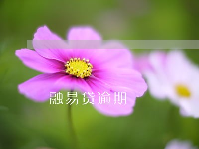 融易贷逾期 融易贷逾期