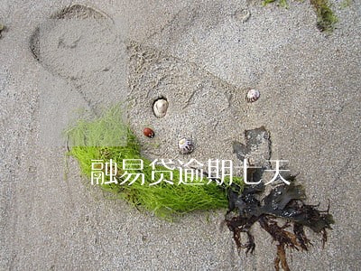 融易贷逾期七天 融易贷逾期七天