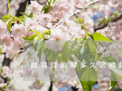 融易贷逾期多久会被封号 融易贷逾期多久会被封号