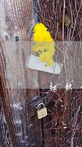 融歌金服逾期了 融歌金服逾期了