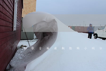 融歌金服逾期能做小羽白卡吗 融歌金服逾期能做小羽白卡吗