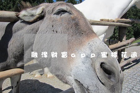 融泽财富app蜜桃花逾期 融泽财富app蜜桃花逾期