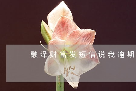 融泽财富发短信说我逾期 融泽财富发短信说我逾期