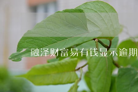 融泽财富易有钱显示逾期计算中 融泽财富易有钱显示逾期计算中