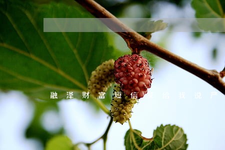 融泽财富短信发给我说严重逾期 融泽财富短信发给我说严重逾期