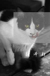 融泽财富蜜桃花逾期10天了 融泽财富蜜桃花逾期10天了