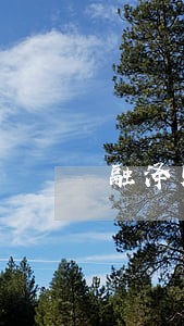 融泽财富逾期不打电话了