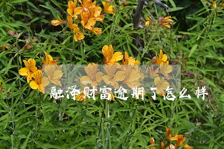 融泽财富逾期了怎么样 融泽财富逾期了怎么样