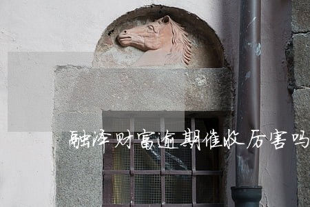 融泽财富逾期催收厉害吗