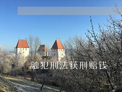 融犯刑法获刑赔钱 融犯刑法获刑赔钱